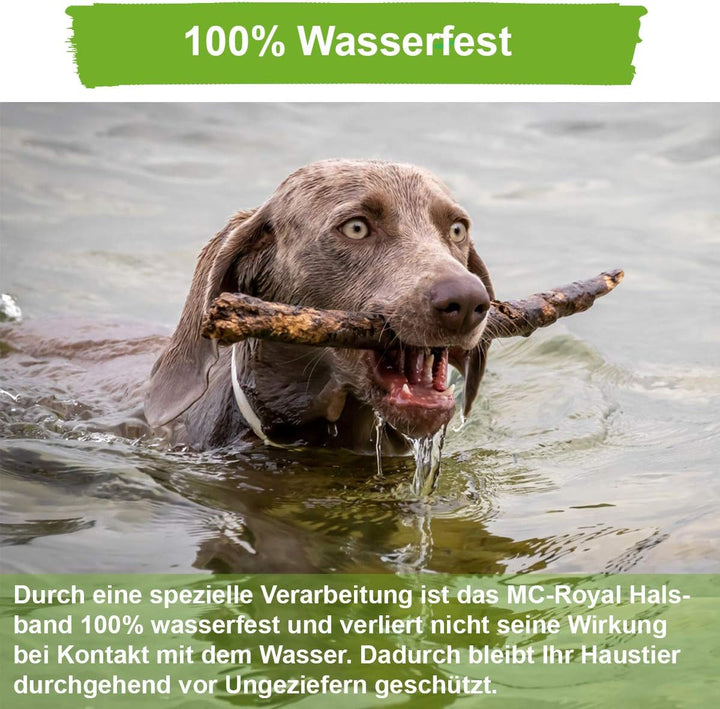MC-Royal® Zeckenhalsband für Hunde - Effektiver Schutz vor Ungeziefern - wasserdicht und verstellbar