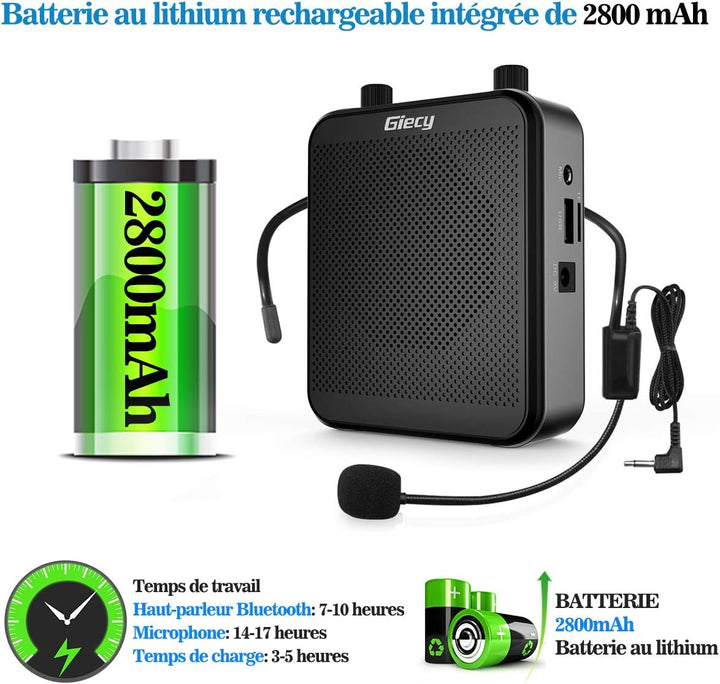 Tragbarer Sprachverstärker mit Mikrofon, Kopfhörer, 30 W, wiederaufladbarer Akku, 2800 mAh, leistung