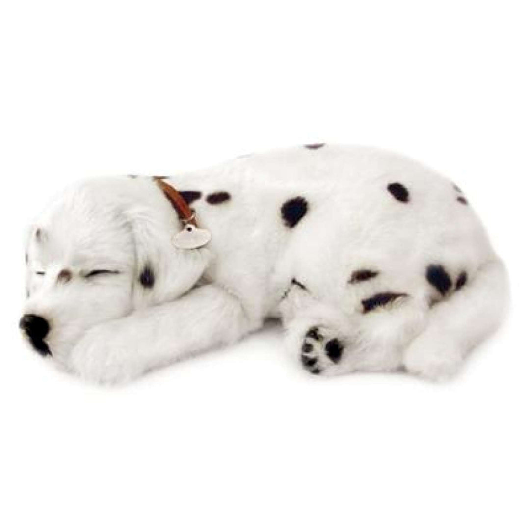 Perfect Petzzz Hundewelpe dalmatinischer, der richtig atmet the Breathing Puppy