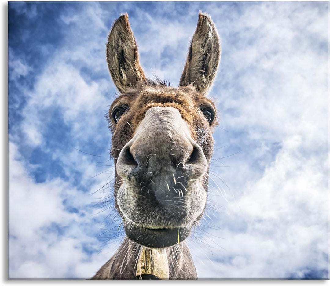 Lustiger Esel Herdabdeckplatte & Spritzschutz aus Echtglas | Für Herd-Kochfelder | 60x52 cm