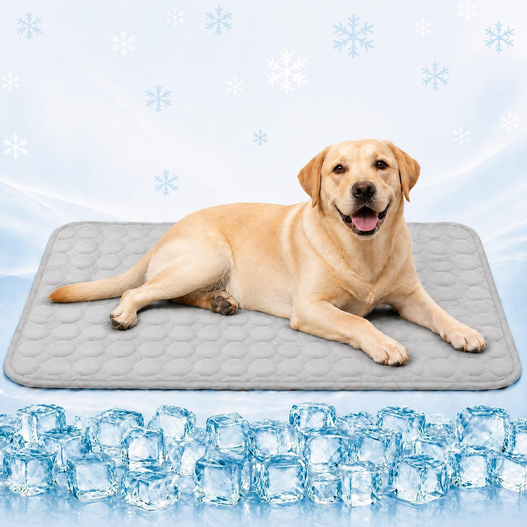 Kühlmatte für Hunde XL 100x70cm, Kühldecke Hund Selbstkühlend Ohne Gel, Atmungsaktive Kühlmatte für