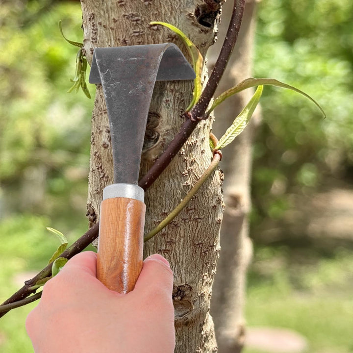 RindenschäLer FüR BäUme Mit Holzgriff – BaumrindenschäLer FüR Garten, Tragbares Werkzeug Zur Entfern
