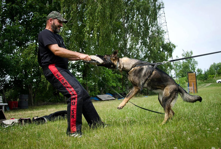 Dingo Gear Beisskissen aus Jute Keilform Medium Extra Ausbildung IGP IPO K9 Hundetraining S00519 Jut