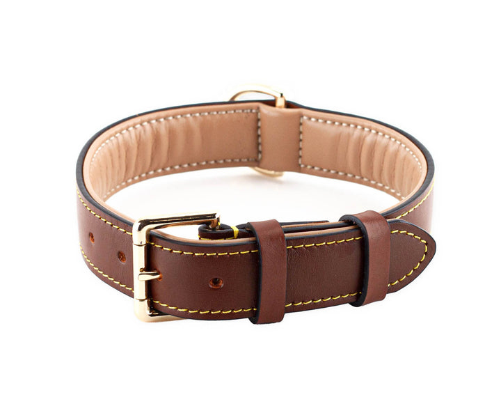 Brute Strength Hundehalsband aus Leder - Braun - XXL - 66-73 cm XXL - 66-73 cm Braun, XXL - 66-73 cm