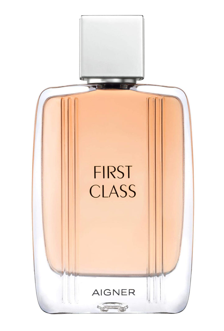 Aigner First Class homme/man, Eau de Toilette Spray, 100 g 100 ml (1er Pack), 100 ml (1er Pack)