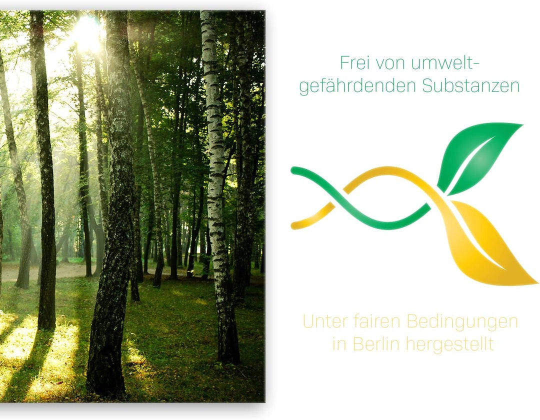ge Bildet Bild auf Leinwand | Landschaftsbilder - Wald I in 70x50 cm als Wandbild | Wand-deko Dekora