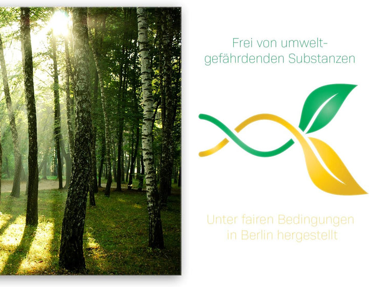 ge Bildet Bild auf Leinwand | Landschaftsbilder - Wald I in 70x50 cm als Wandbild | Wand-deko Dekora