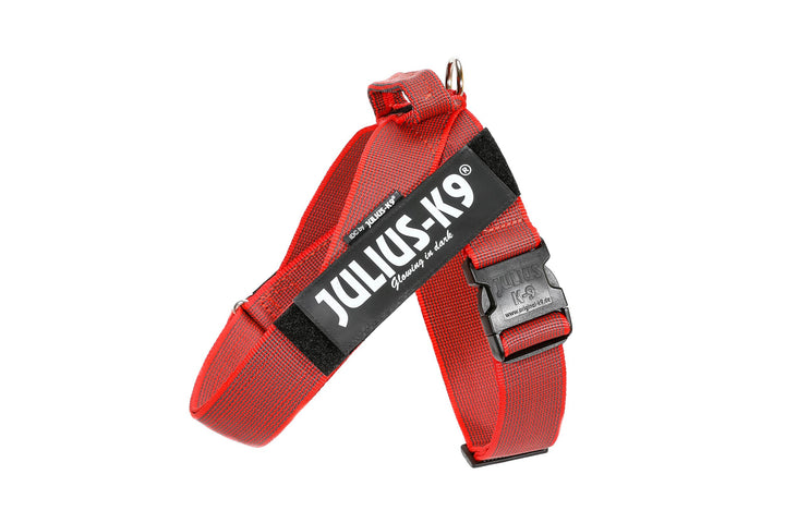 Julius-K9, Color & Gray, Beltgeschirr 2XL / 3 rot-grau, 2XL / 3 rot-grau