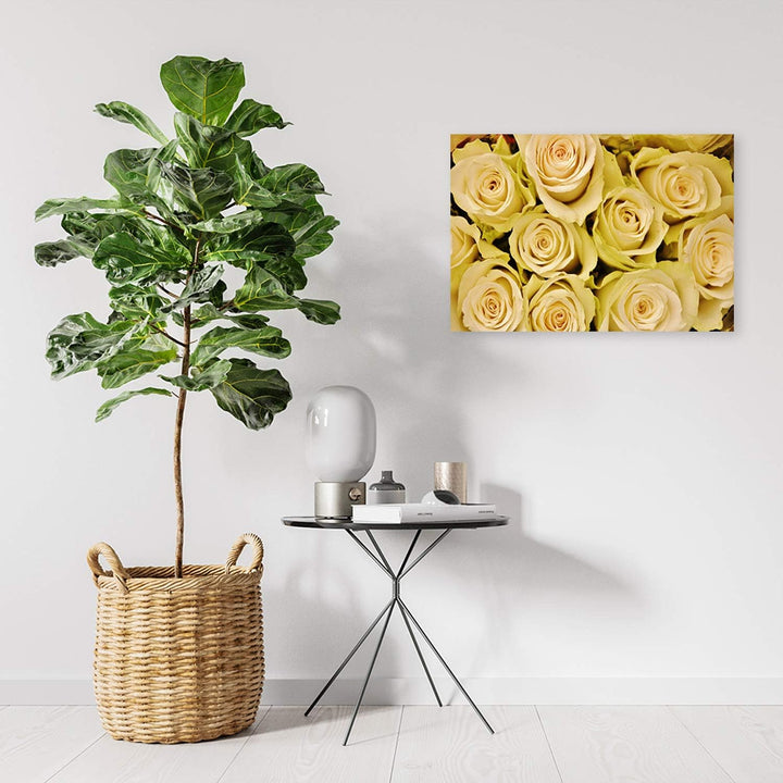 Feeby Leinwandbild Rose Bild Kunstdruck Blume Gelb 70x50 cm M14551 70x50 cm, M14551 70x50 cm