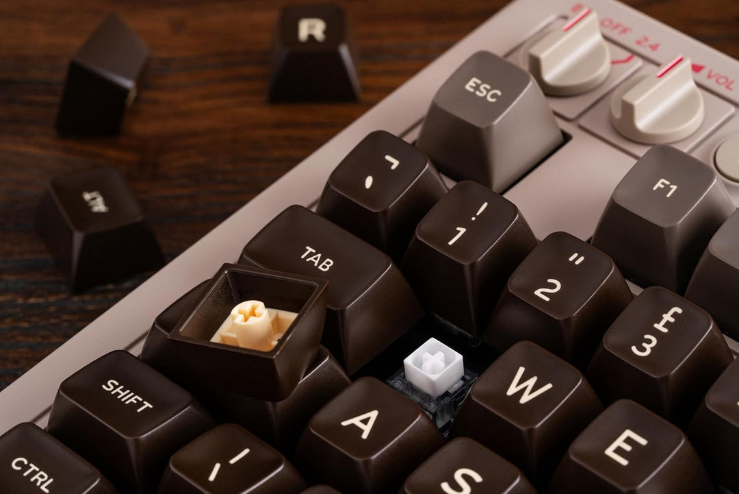 8Bitdo retro mechanische Tastatur, Bluetooth/2.4G/USB-C heiss austauschbare Gaming-Tastatur mit 87 T