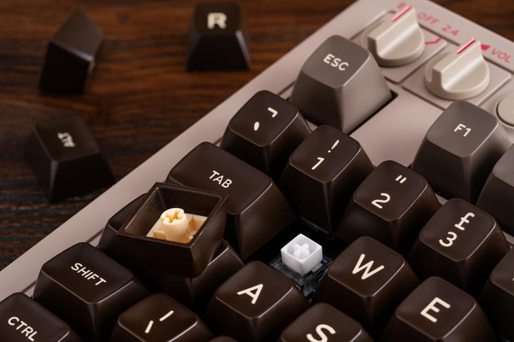 8Bitdo retro mechanische Tastatur, Bluetooth/2.4G/USB-C heiss austauschbare Gaming-Tastatur mit 87 T