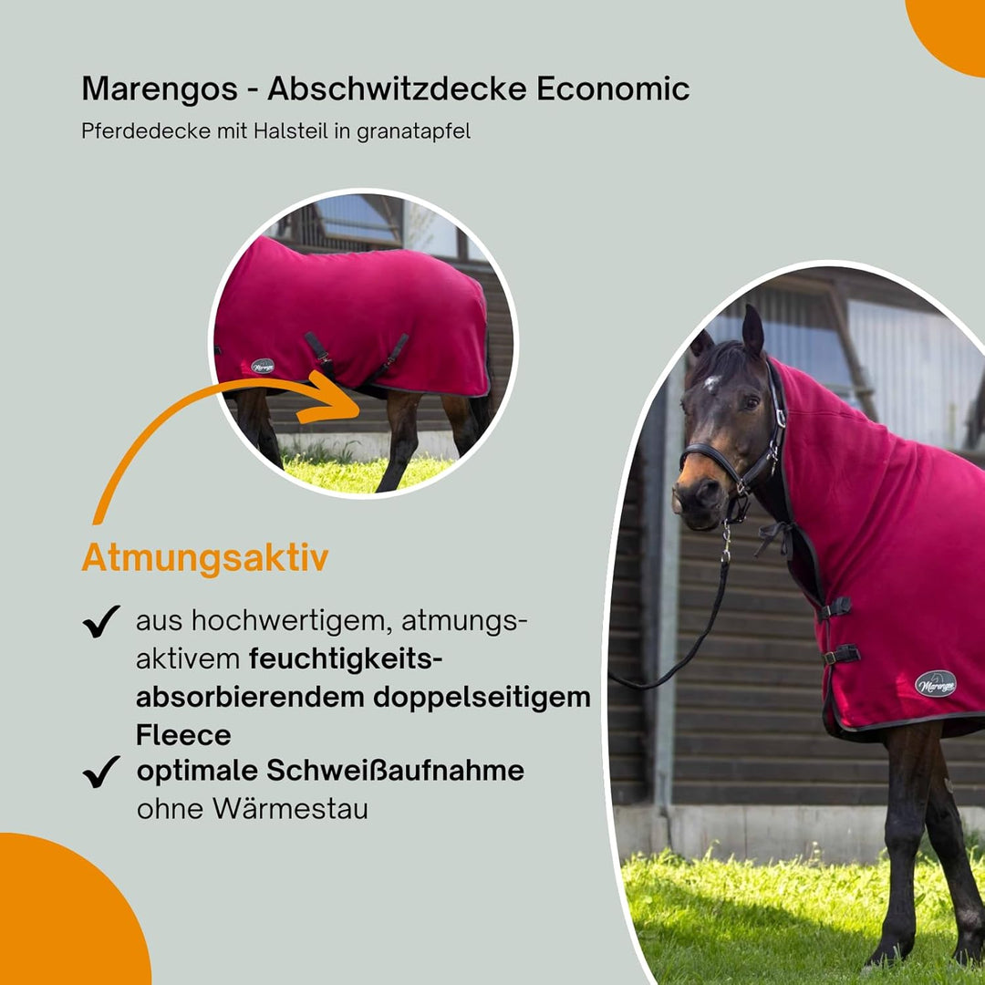 Marengos - Abschwitzdecke Economic mit Halsteil und abnehmbarem Kreuzgurt fürs Pferd ist atmungsakti