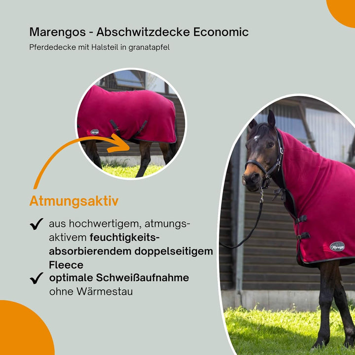 Marengos - Abschwitzdecke Economic mit Halsteil und abnehmbarem Kreuzgurt fürs Pferd ist atmungsakti