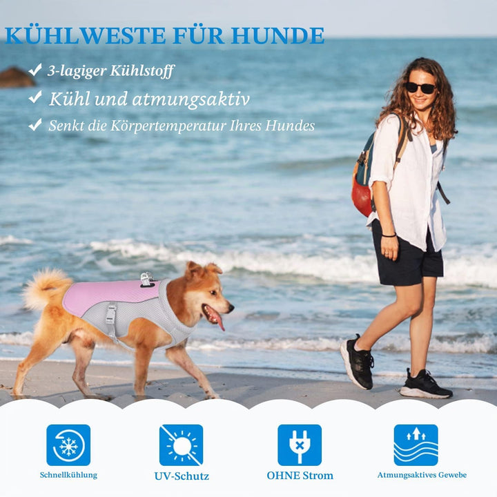 Hundekühlweste Atmungsaktives Mesh Hundejacke Sommer Cooler und Komfortabler Hundemantel Verstellbar