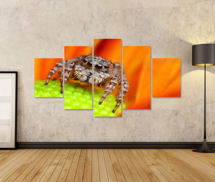 islandburner Bild auf Leinwand Springende Spinne Blume Bilder Wandbilder Poster Leinwand 170x80cm -