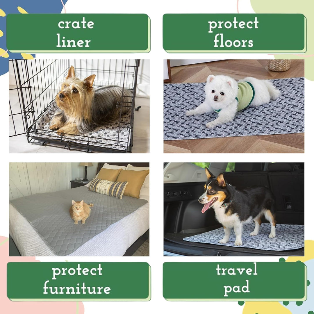 Caldwell's Pet Supply Co. Wiederverwendbar, waschbar im Zweierpack Potty Pads, Extra Large Absorbent