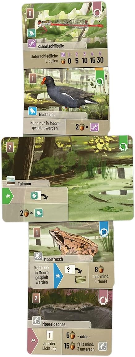 Lookout, Mischwald: Dartmoor, Grundspiel, Familienspiel, Kartenspiel, 2-5 Spieler, ab 10+ Jahren, 60