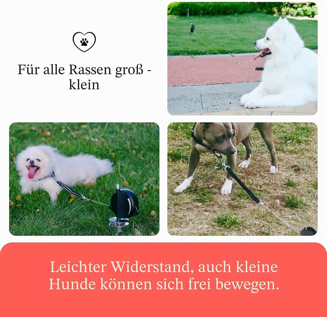【Robustes einziehbares Hunde-Auslaufkabel】 Die ultimative Hundeleine für draussen - Super Starkes au