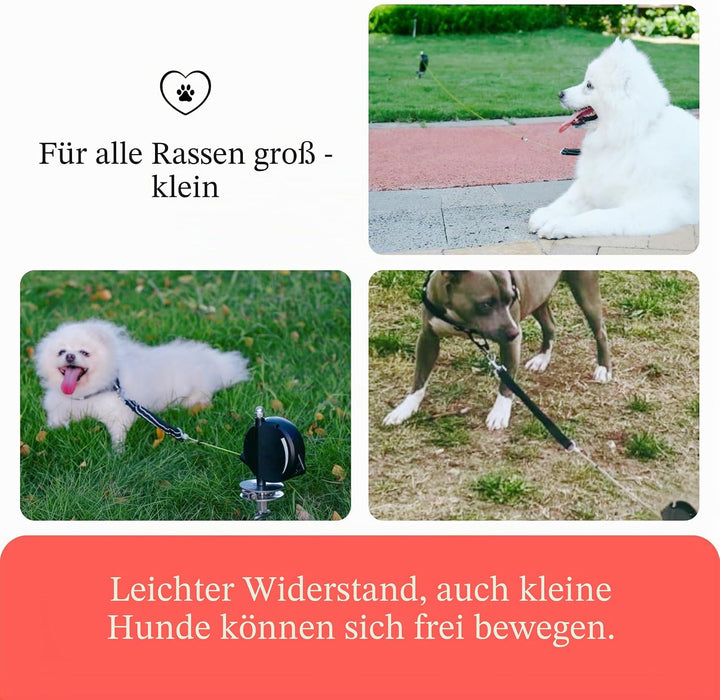 【Robustes einziehbares Hunde-Auslaufkabel】 Die ultimative Hundeleine für draussen - Super Starkes au