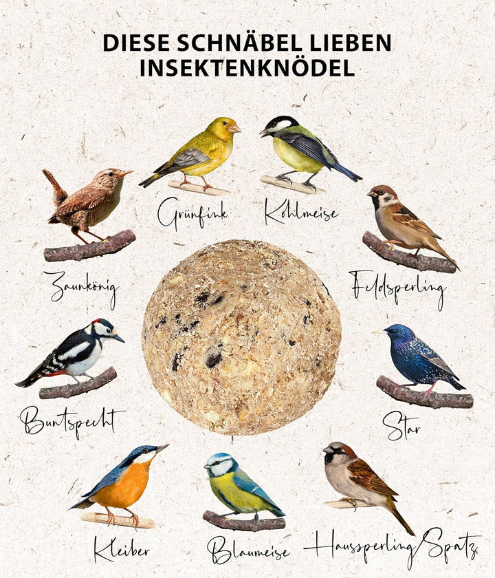 Dehner Natura Wildvogelfutter, Meisenknödel, Insekten-Knödel, ohne Netz, 100 Stück je 90 Gramm (9 kg