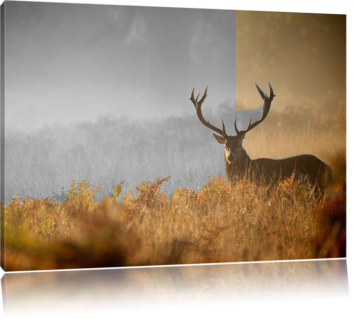 Pixxprint Rotwild Hirsch im Nebel als Leinwandbild/Grösse: 100x70 / Wandbild/Kunstdruck/fertig bespa