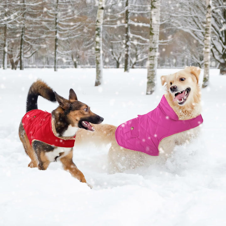 CITÉTOILE Wintermantel Hundemantel, Warme Winterjacken mit Fleece für Hunde,Hundejacke Hundekleidung