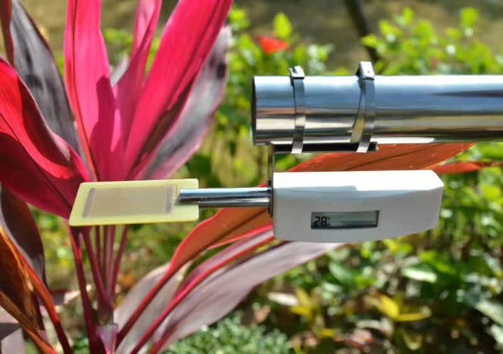 froggit DP10 Blattfeuchte Funksensor