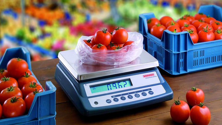 SOEHNLE PROFESSIONAL Kompaktwaage 9241 Max. 15kg - 0,5g 9241 Max.15kg, 9241 Max.15kg