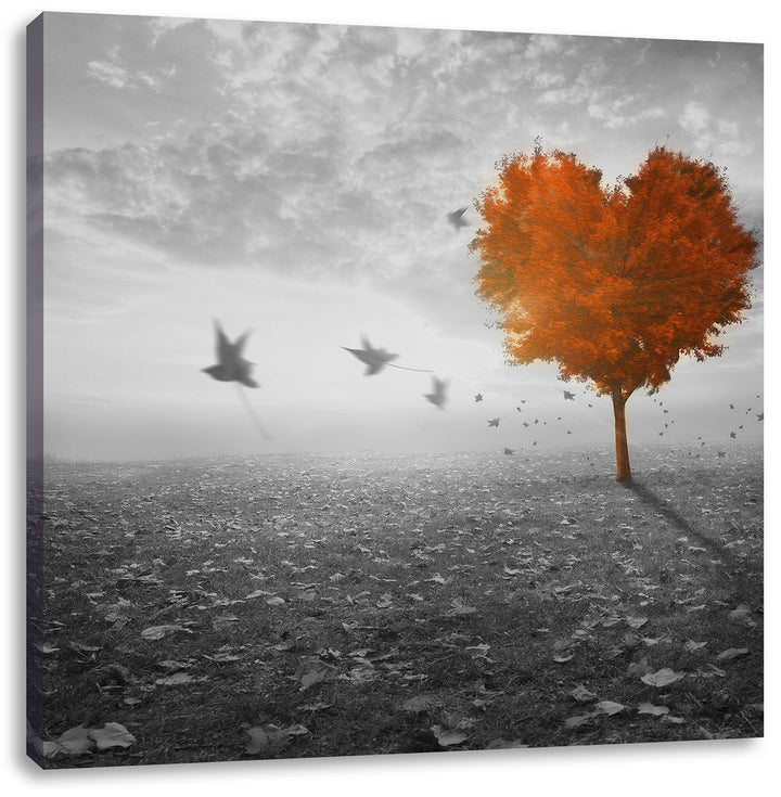 Pixxprint Roter Herzbaum im Herbst schwarz/weiss, Format: 70x70 auf Leinwand, 70x70