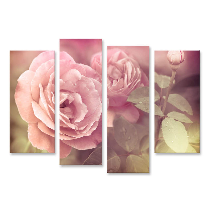 islandburner Bild auf Leinwand Abstrakt Pastel Rosa Rosen Mit Wassertropfen Bilder Wandbilder Poster