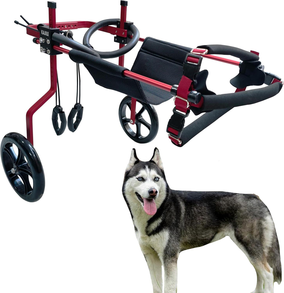KAJILE Verstellbarer 2-Rad-Hunderollstuhl, XL-3 Grösse für behinderte Hund Hinterbeine Rehabilitatio