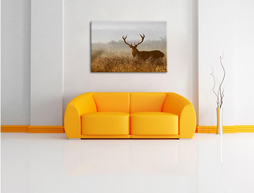 Pixxprint Rotwild Hirsch in Abenddämmerung als Leinwandbild/Grösse: 100x70 cm/Wandbild/Kunstdruck/fe