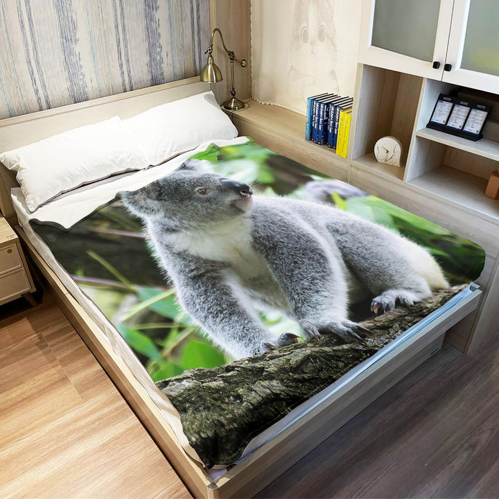 YISUMEI Decke 150x200cm Flauschige Kuscheldecke Weich Flanell Fleecedecke Koala Sitzen 150 x 200 cm,