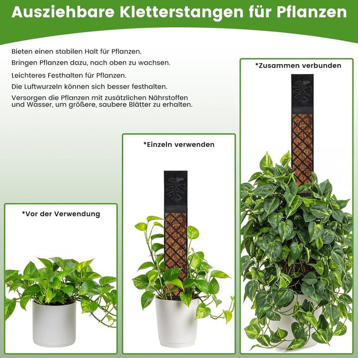 Moosstab für Monstera Rankhilfe Zimmerpflanzen - 103cm Rankhilfe Pflanzstab Monstera,Efeutute Pflanz