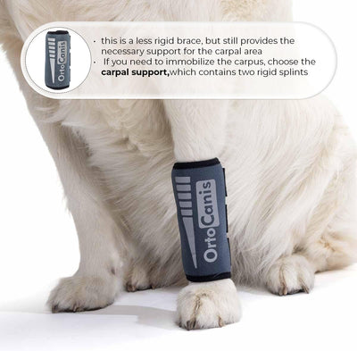 Ortocanis - Karpalgelenkbandage für Hunde mit Arthrose, Bänder- oder Sehnenverletzungen, Grösse S, G