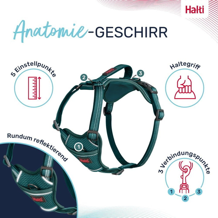 HALTI Anatomy Hundegeschirr mit Griff – Bewegungsfreiheit und Tragekomfort für deinen Hund. 3 Verbin
