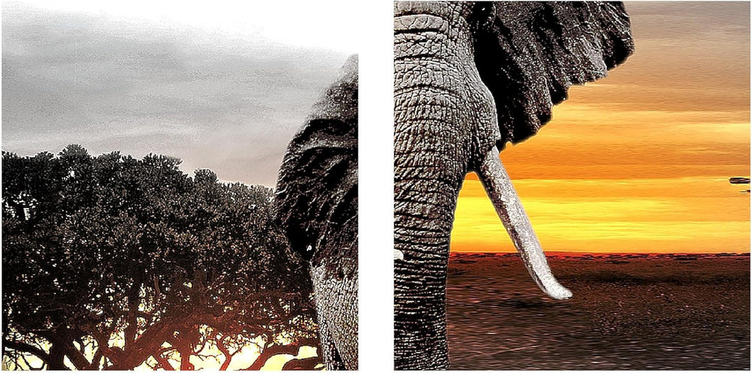 Runa Art Bild Modern Afrika Elefant - Made in Germany - Wandbilder Panorama Grau Orange 4 Teilig 001