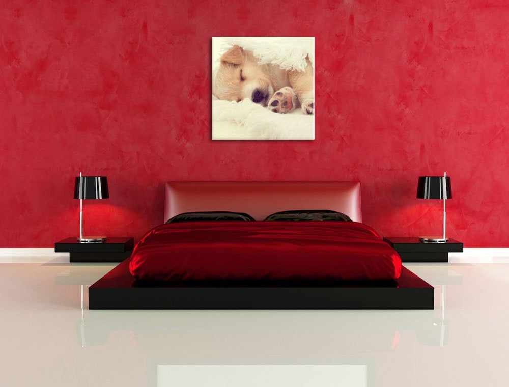 kleiner schlafender Welpe, Format: 70x70 auf Leinwand, XXL riesige Bilder fertig gerahmt mit Keilrah
