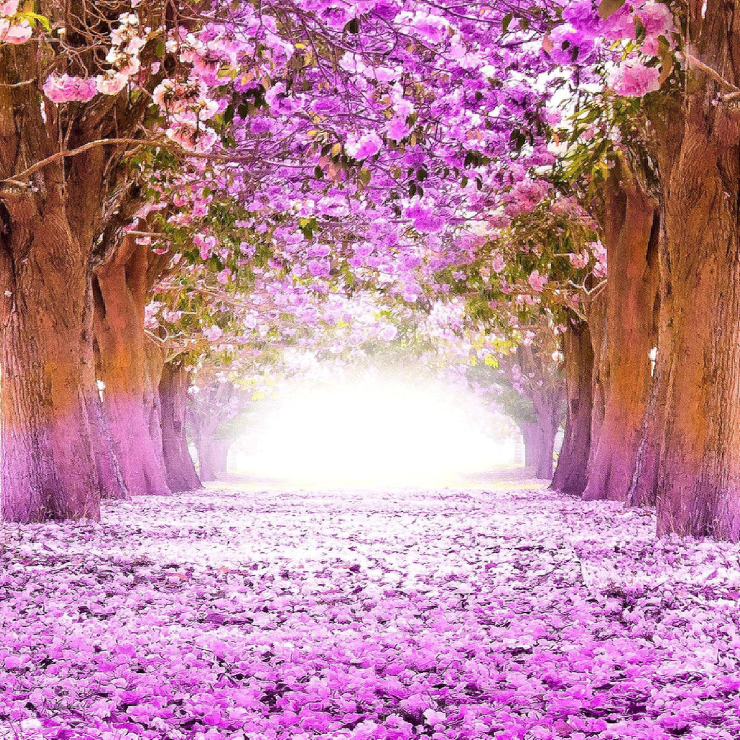 Runa Art Bild Schlafzimmer Wohnzimmer Wald Landschaft 5 Teilig Natur Violett Wandbilder auf Vlies Le