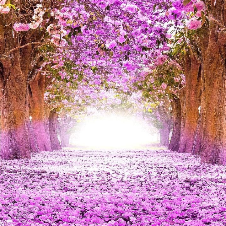 Runa Art Bild Schlafzimmer Wohnzimmer Wald Landschaft 5 Teilig Natur Violett Wandbilder auf Vlies Le