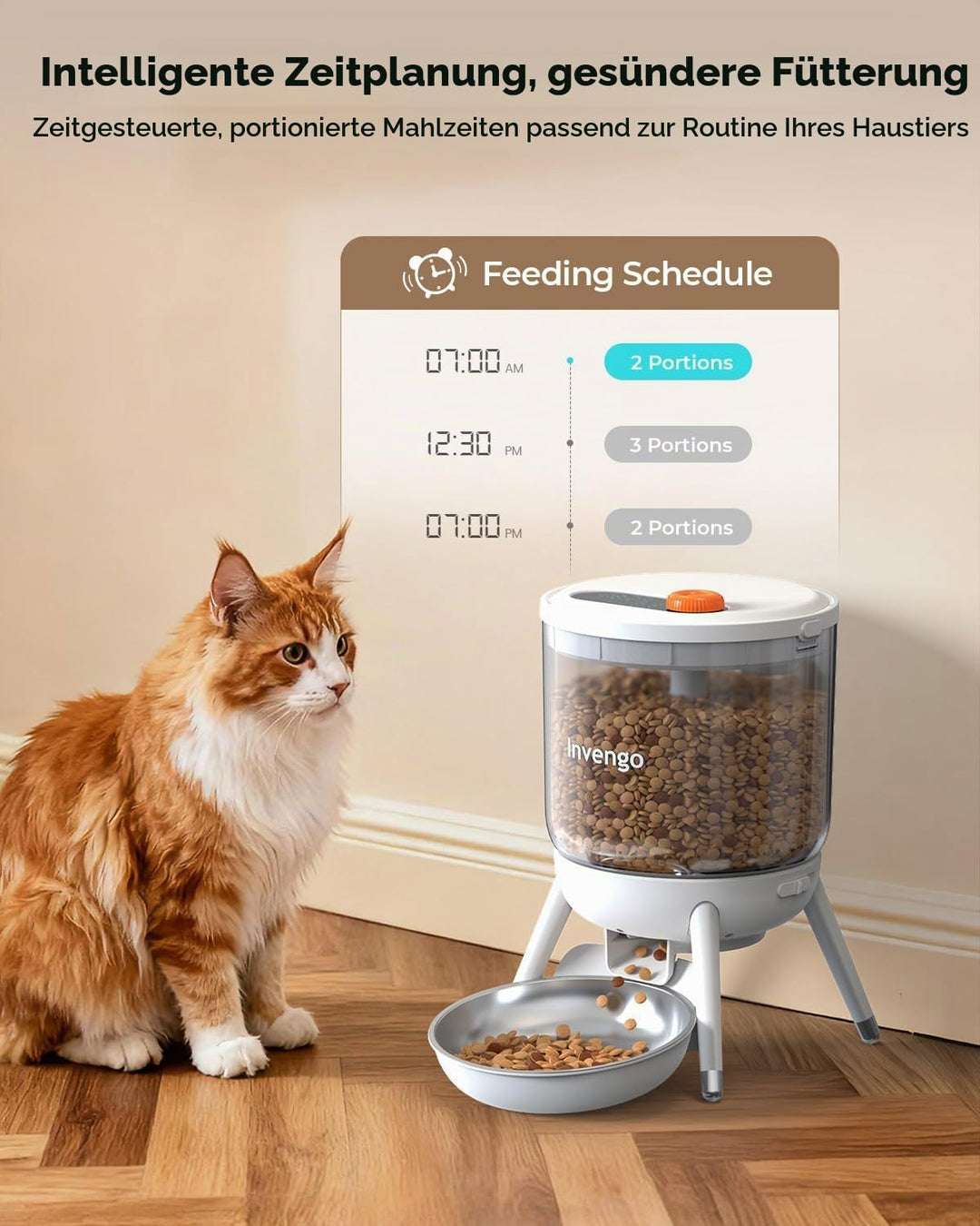 Katzenfutter Automat, Futterautomat Katze mit Zeitsteuerung, 3L Trichter, Doppelstromversorgung, Tro