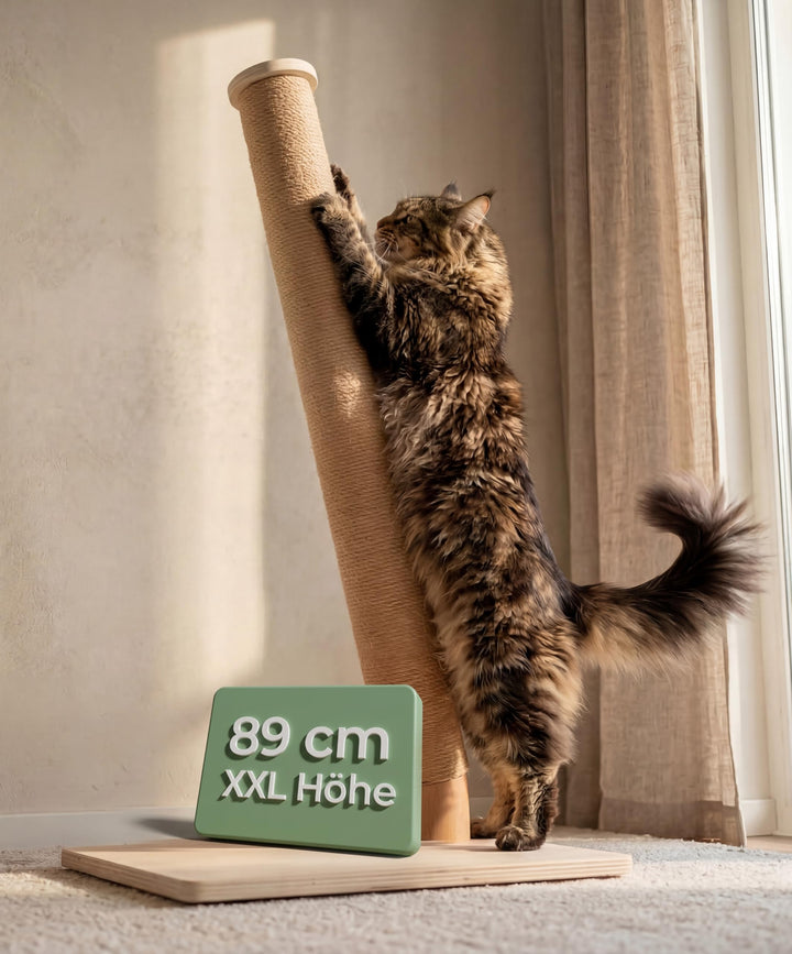 WOOWOOD Kratzbaum Katze - Extrem Stabil, Kratzsäule XXL, Kratzbaum Klein - Kratzstamm für kleine und