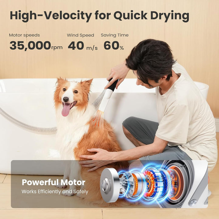 pecute 2in1 Hundefön Hundetrockner Hundestaubsauger, 1.7L Staubbehälter mit viel Zubehör, Multifunkt
