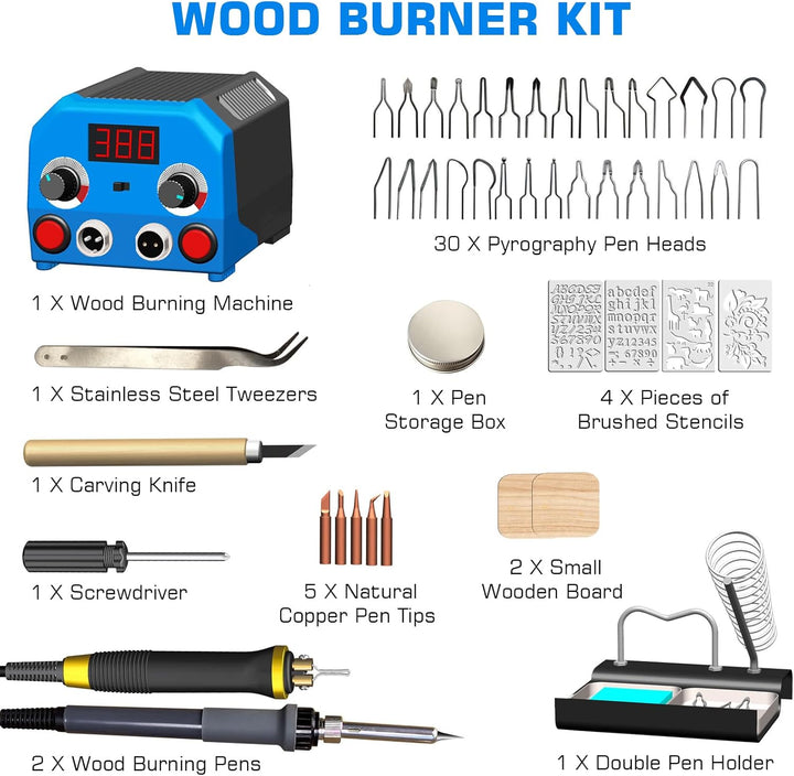Doppelstift Brandmalerei Brennpeter für holz mit Digitalanzeig mit 2 Stiften und 30 Tlg Drahtspitzen