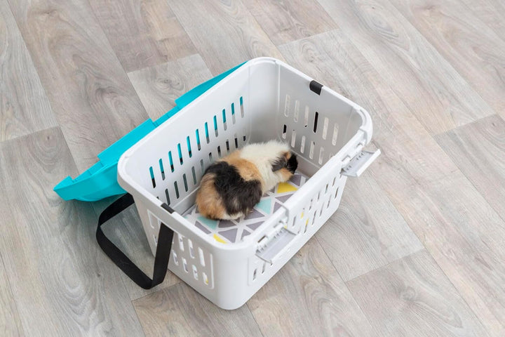 Trixie 3979 Transportbox Midi-Capri, XS: 44 × 33 × 32 cm, dunkelgrau/hellblau