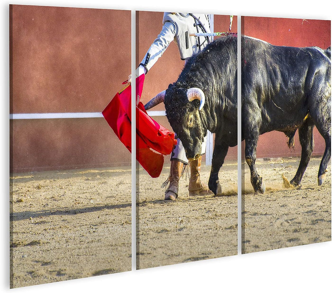 islandburner Bild auf Leinwand Matador Stierkampf Stier Bild Aus Spanien Bilder Wandbilder Poster Le
