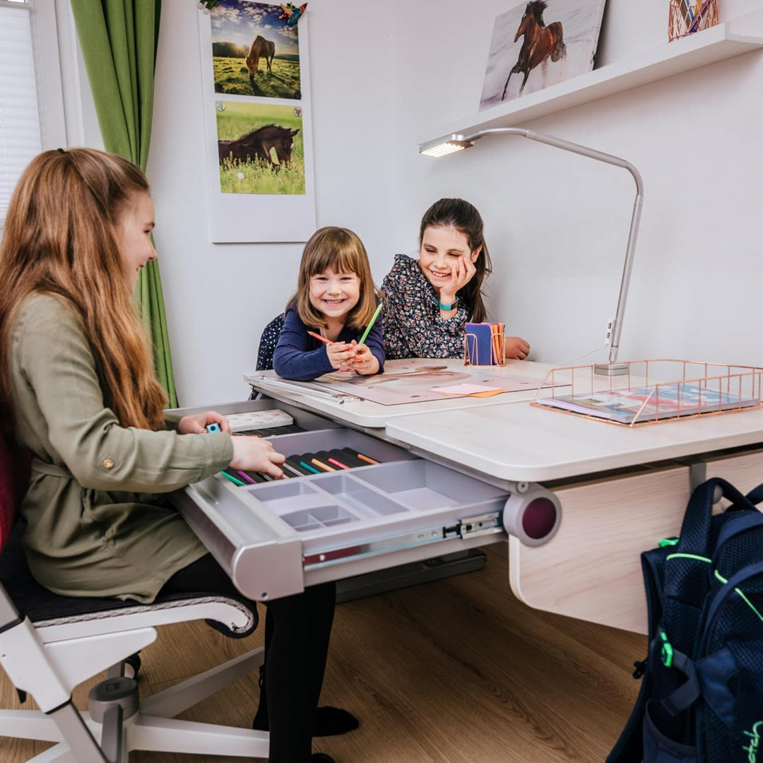 moll Easy Schublade, Kinderschreibtisch Erweiterung für zusätzlichen Stauraum, geeignet für die Kind