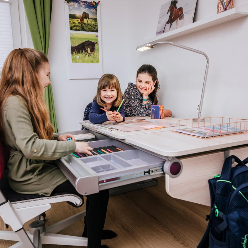 moll Easy Schublade, Kinderschreibtisch Erweiterung für zusätzlichen Stauraum, geeignet für die Kind
