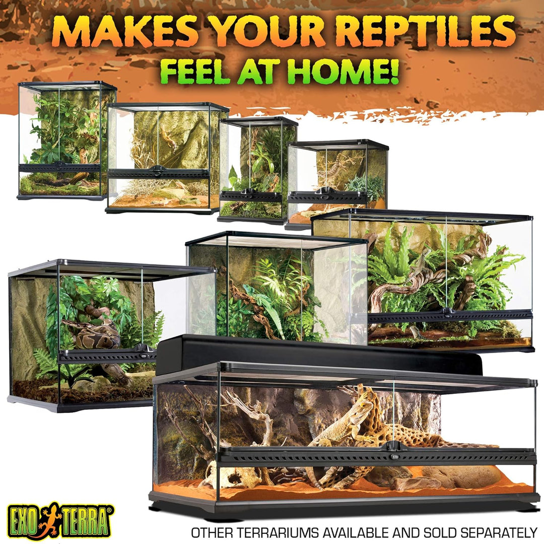 Exo Terra Reptilien Terrarium aus Glas, mit einzigartiger Front Belüftung, 20 x 20 x 20cm, 20 x 20 x