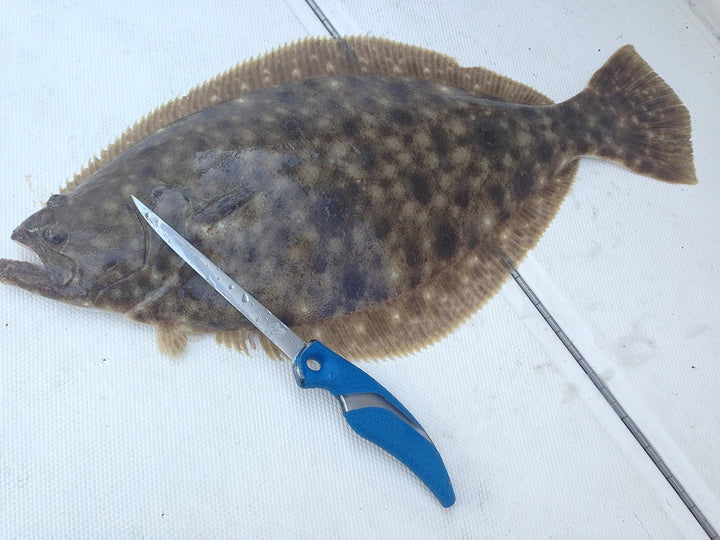 Cuda Filetiermesser, 15 cm, 18831